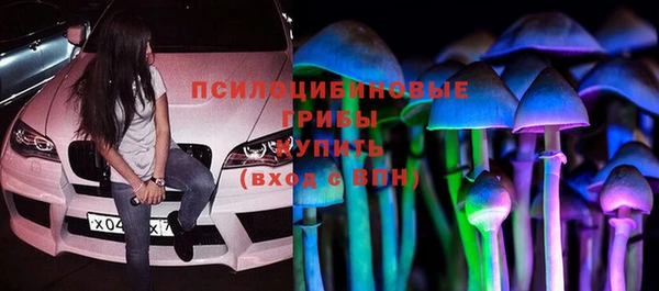 mix Горнозаводск